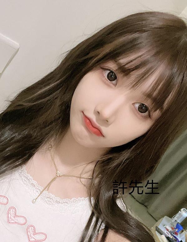 波士顿商务伴游